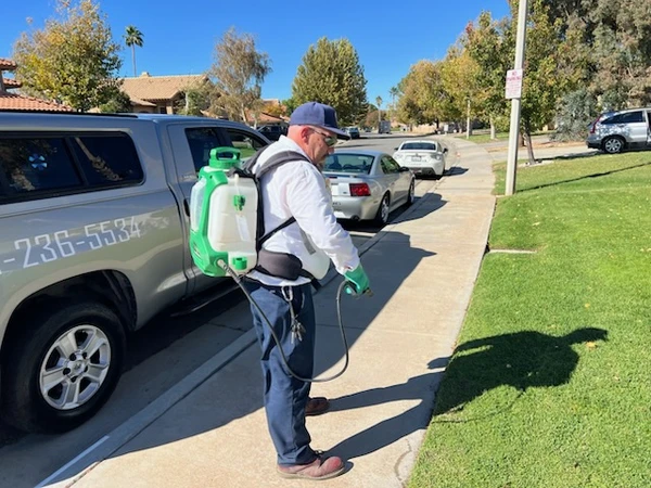 Reliable Pest Control