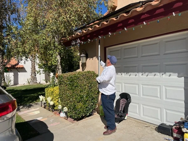 Reliable Pest Control Reliable Pest Control