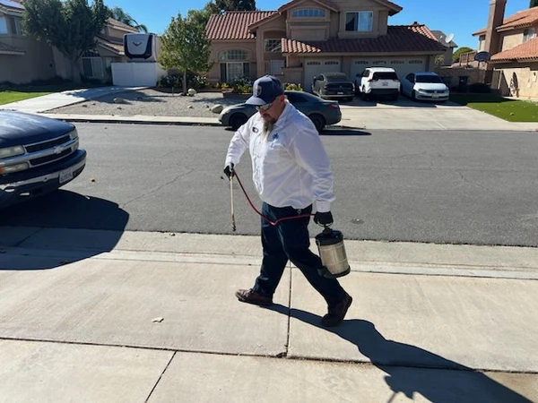 Reliable Pest Control