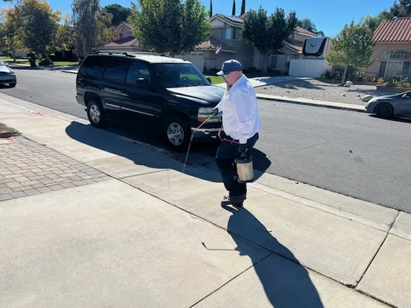 Reliable Pest Control Reliable Pest Control