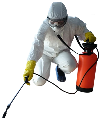 Reliable Pest Control