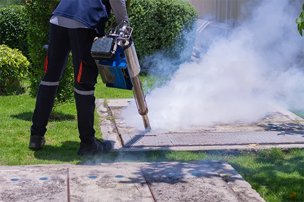 Mosquito Control Services